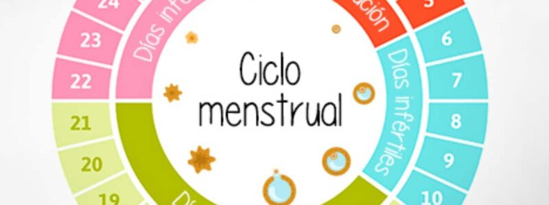 Ciclo menstrual y ejercicio (Parte I)